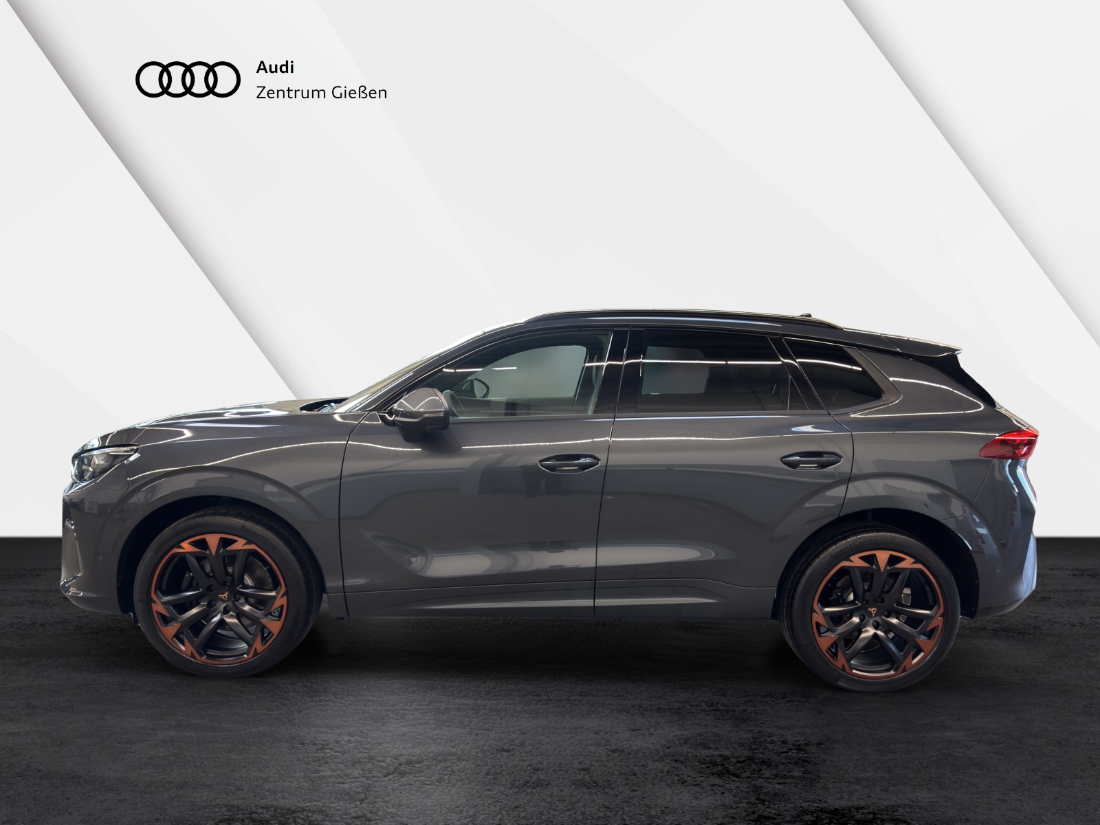 Terramar 2.0 TSI 4Drive VZ HuD Pano AHK Sennheiser Matrix-LED