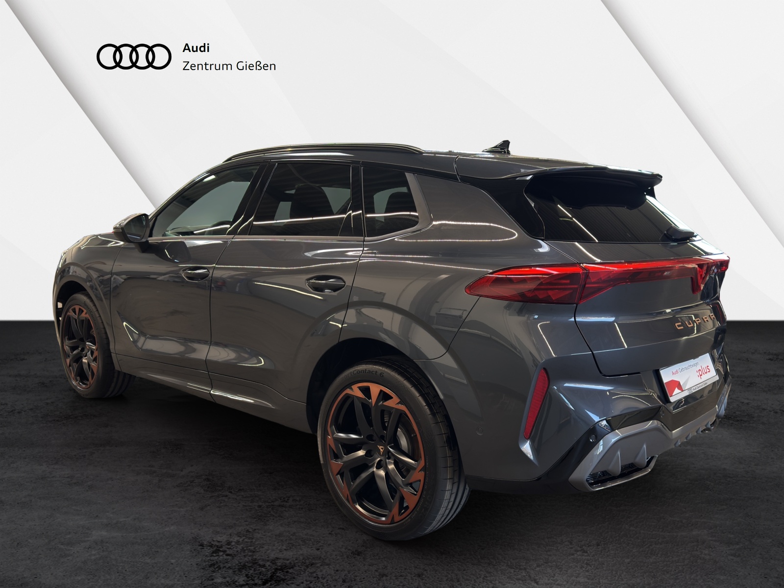 Terramar 2.0 TSI 4Drive VZ HuD Pano AHK Sennheiser Matrix-LED