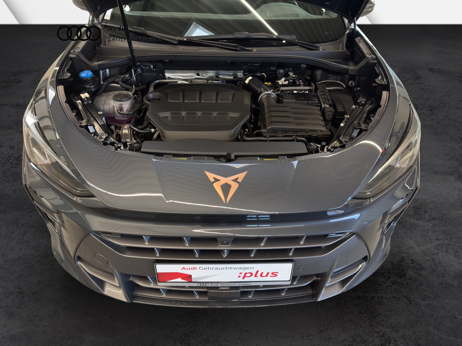 Terramar 2.0 TSI DSG 4Drive VZ HuD PANO Matrix Sennheiser