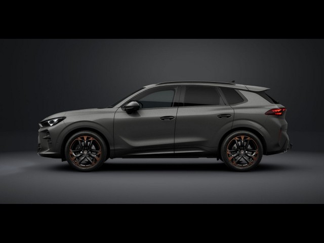 Terramar 2.0 TSI DSG 4Drive VZ HuD PANO Matrix Sennheiser