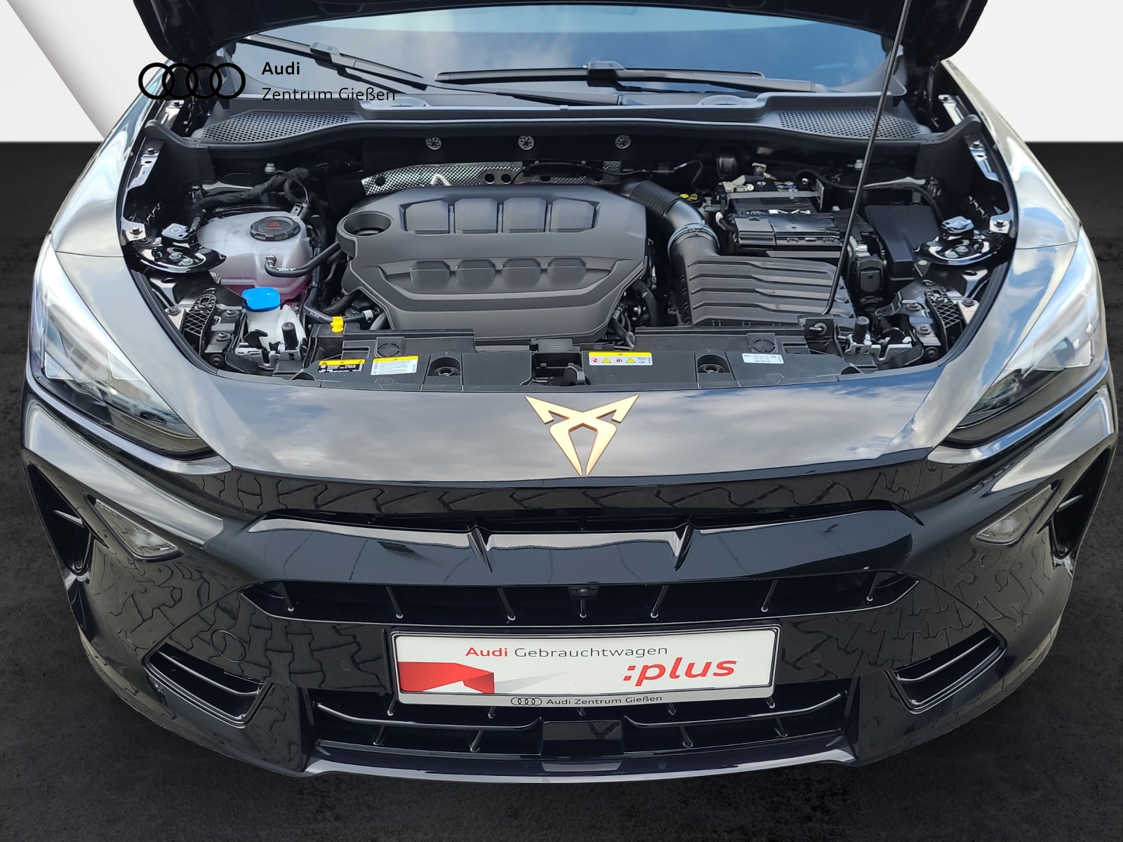 Formentor 2.0 TSI DSG 4Drive VZ AHK Pano Matrix ACC DCC