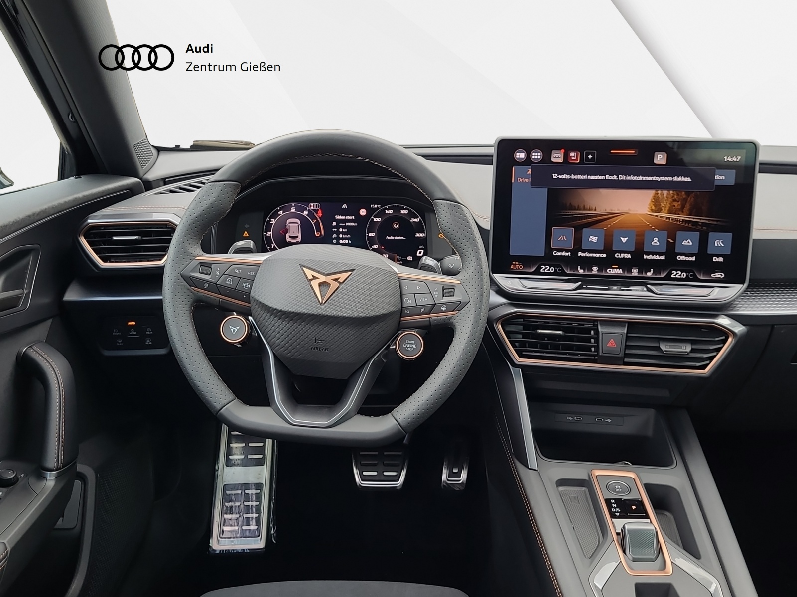 Formentor 2.0 TSI DSG 4Drive VZ AHK Pano Matrix ACC DCC