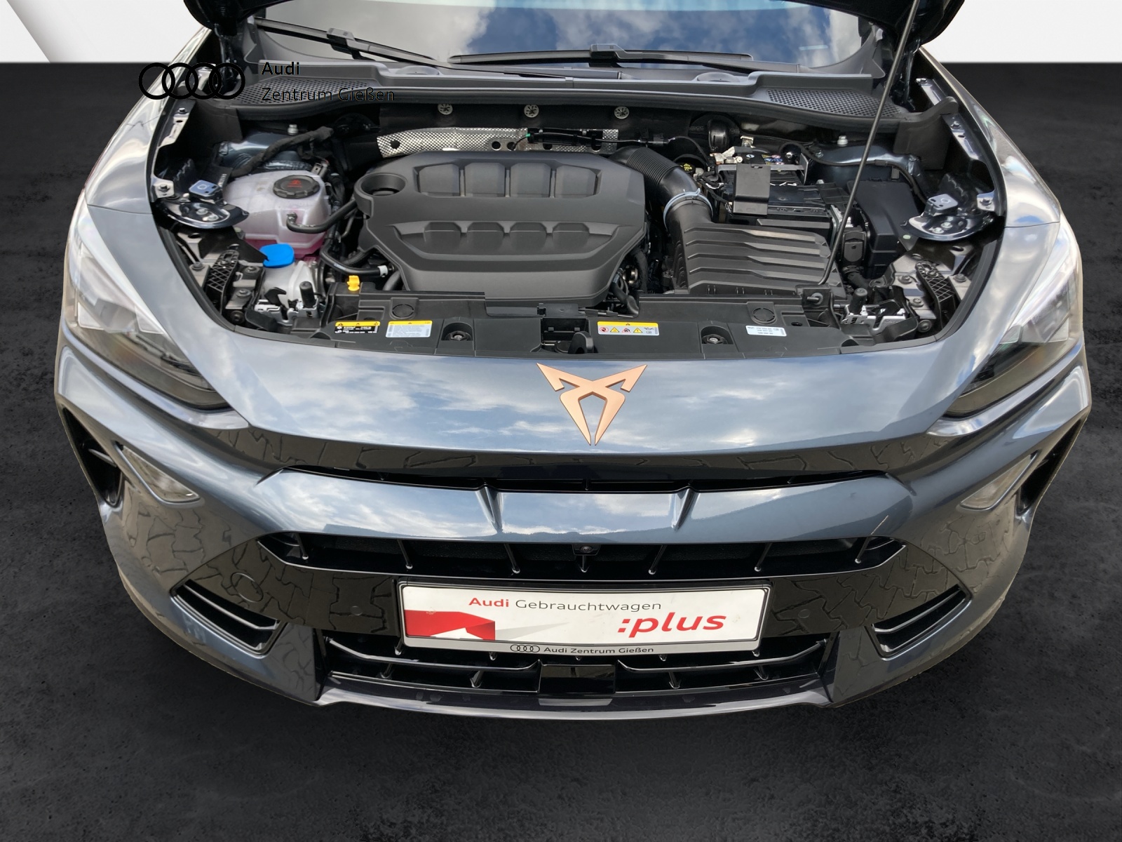 Formentor 2.0 TSI DSG 4Drive VZ AHK Pano Matrix ACC DCC