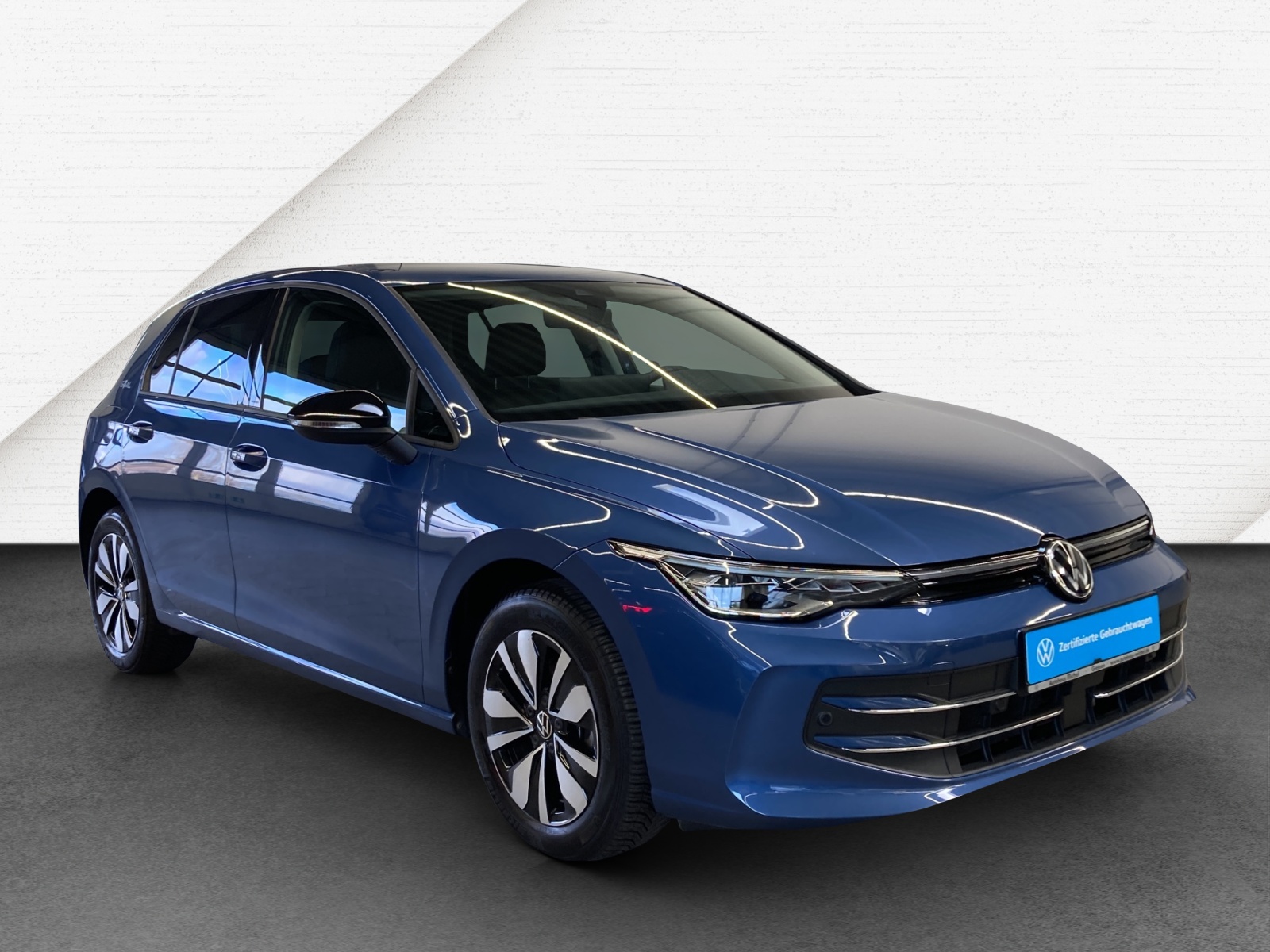 Golf 8 TDI DSG Goal Navi AHK Kamera