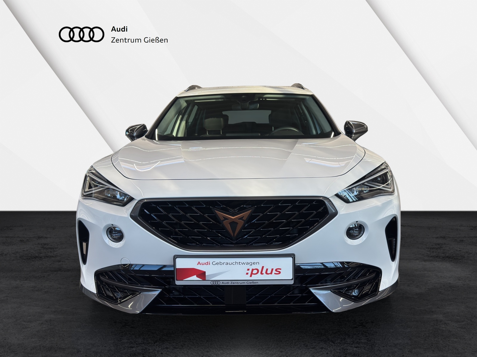 Formentor 1.5 TSI Basis AHK Navi LED ACC