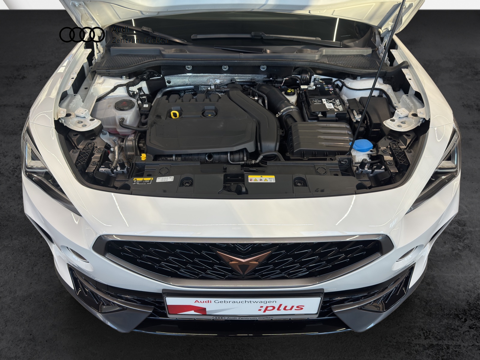 Formentor 1.5 TSI Basis AHK Navi LED ACC