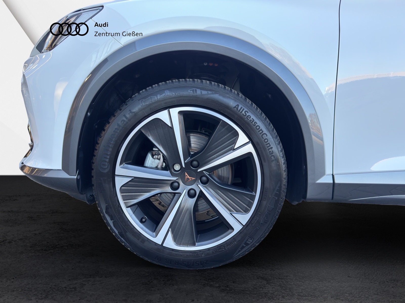 Formentor 1.5 TSI Basis AHK Navi LED ACC