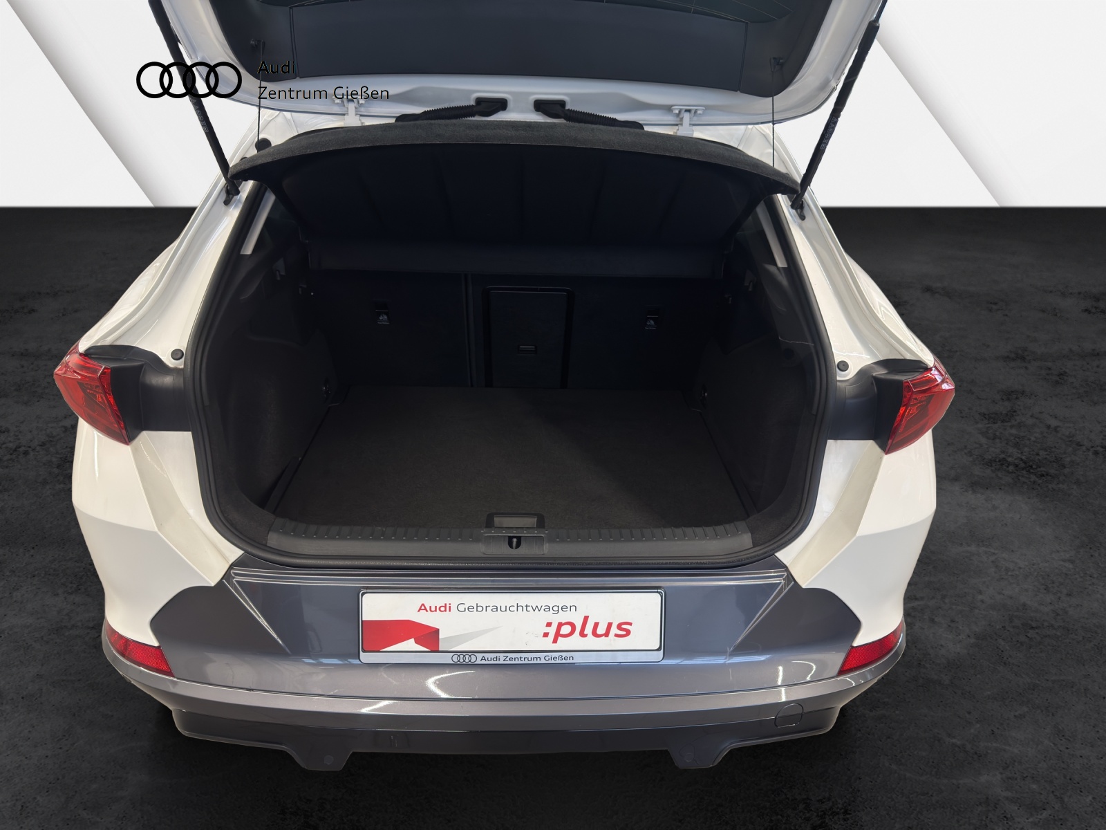 Formentor 1.5 TSI basis AHK ACC Navi LED