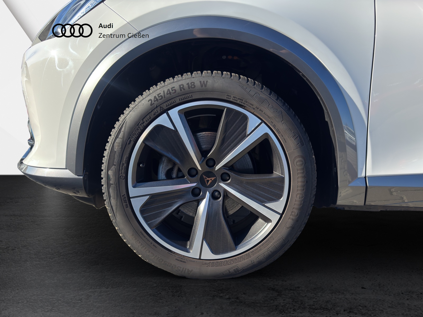 Formentor 1.5 TSI Basis AHK Navi LED ACC