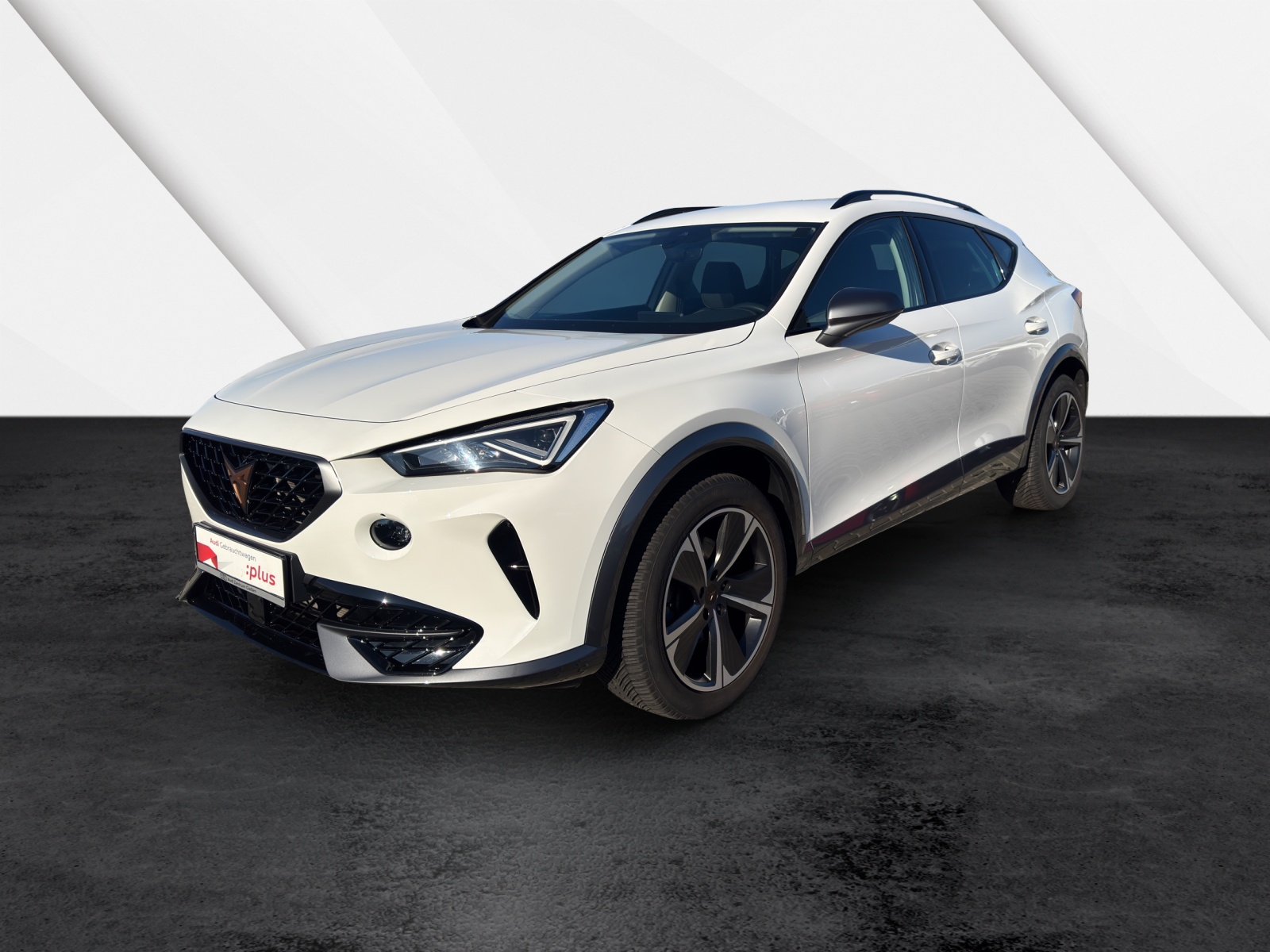 Formentor 1.5 TSI Basis AHK Navi LED ACC