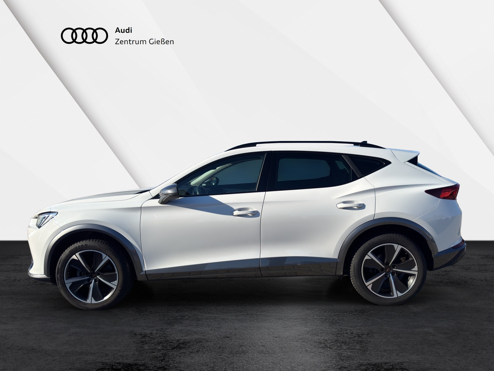 Formentor 1.5 TSI Basis AHK Navi LED ACC