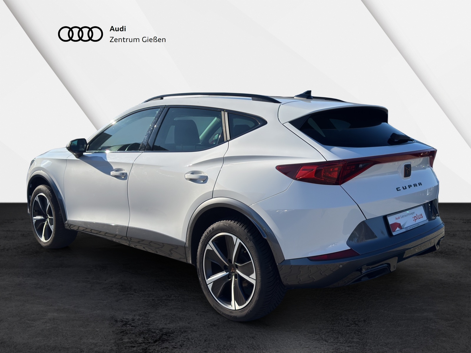 Formentor 1.5 TSI Basis AHK Navi LED ACC