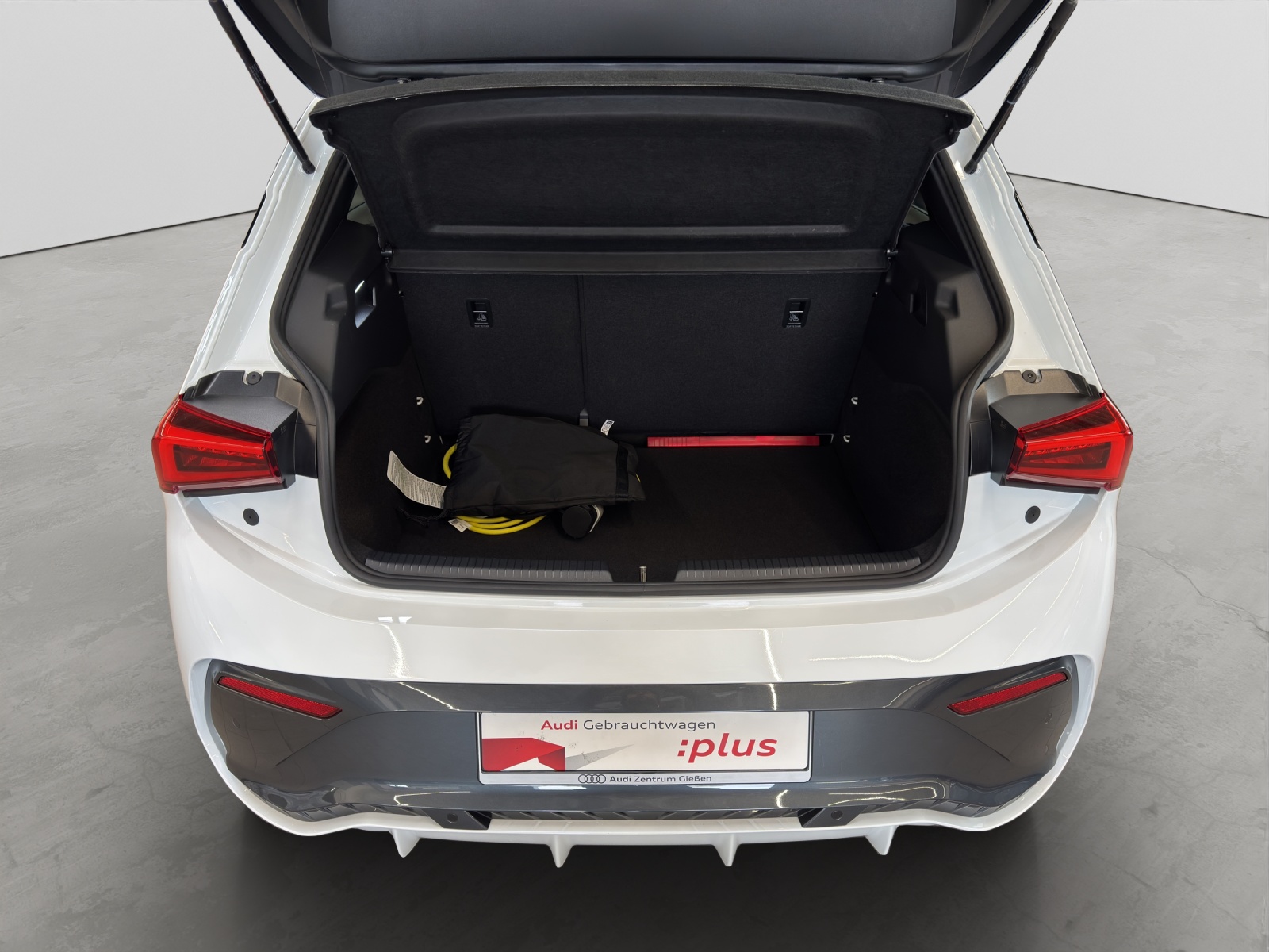 Born e-Boost 170kW (77kWh) HuD Tech-Paket M Navi ACC