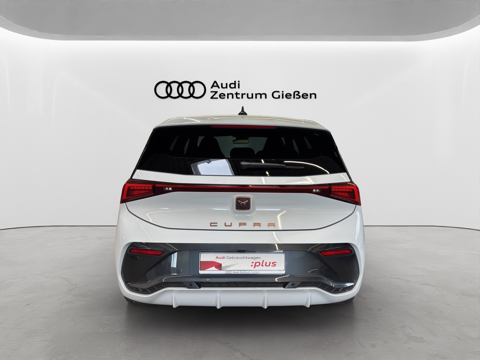 Born e-Boost 170kW (77kWh) HuD Tech-Paket M Navi ACC