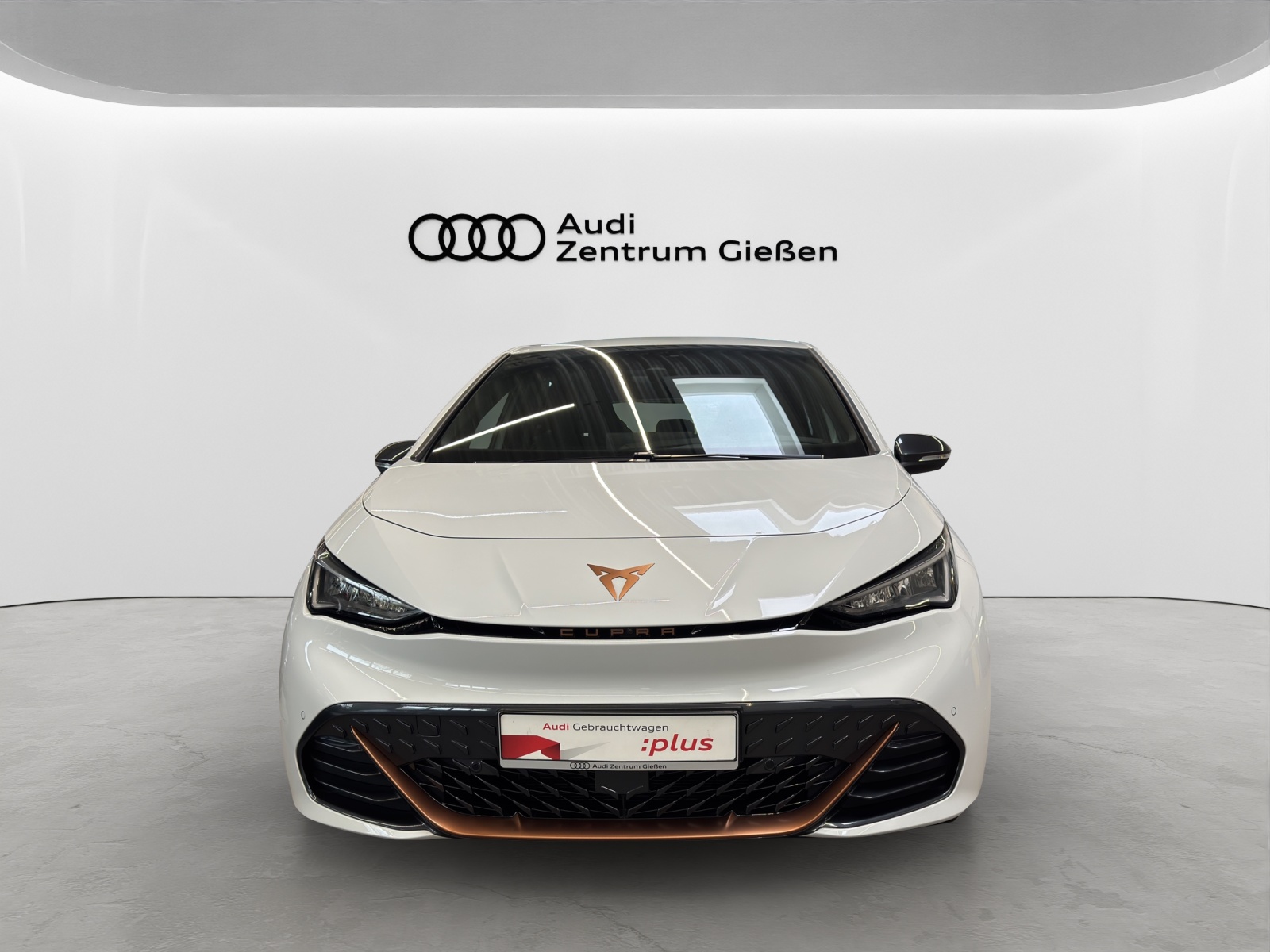 Born e-Boost 170kW (77kWh) HuD Tech-Paket M Navi ACC