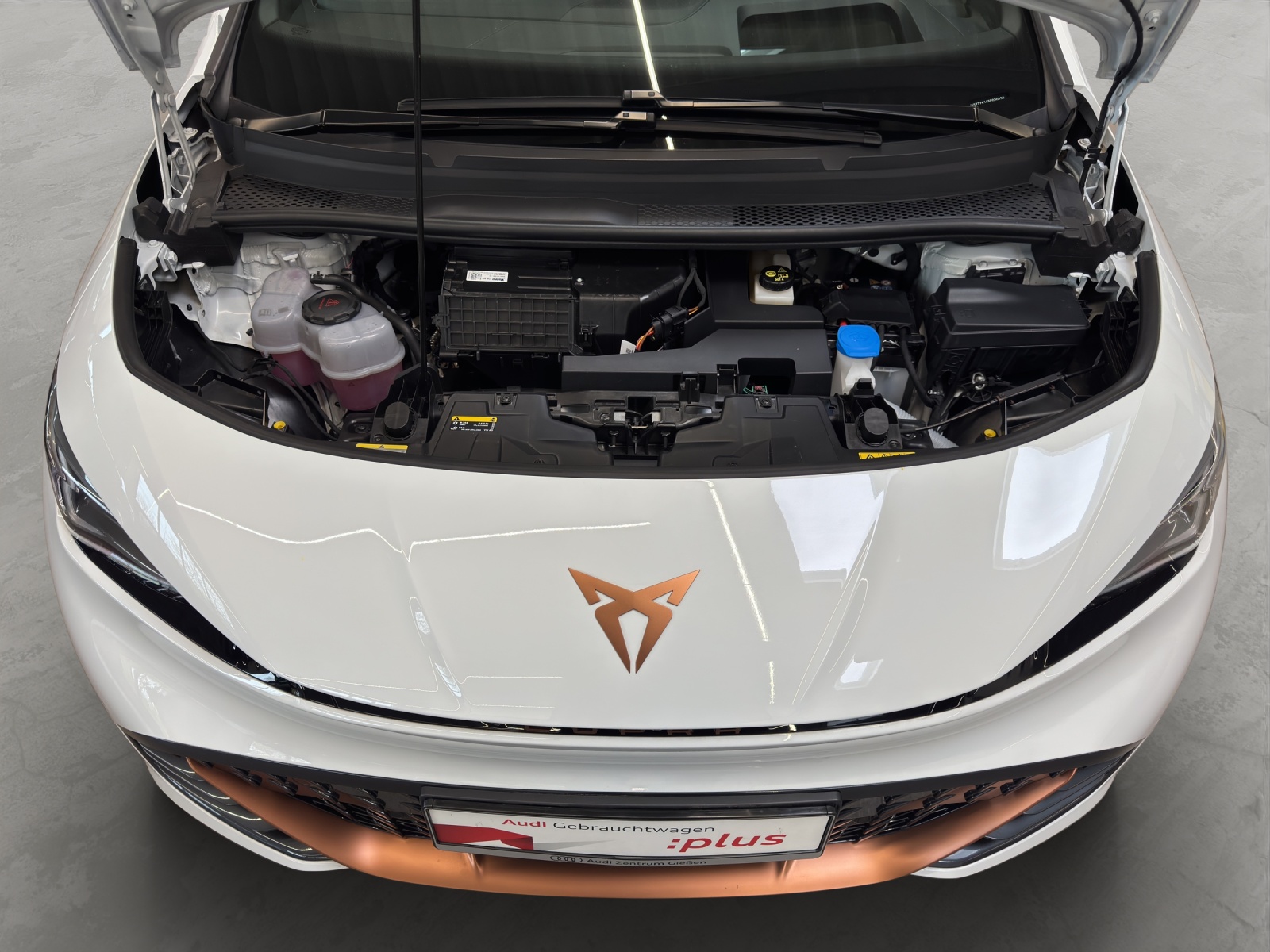 Born e-Boost 170kW (77kWh) HuD Tech-Paket M Navi ACC