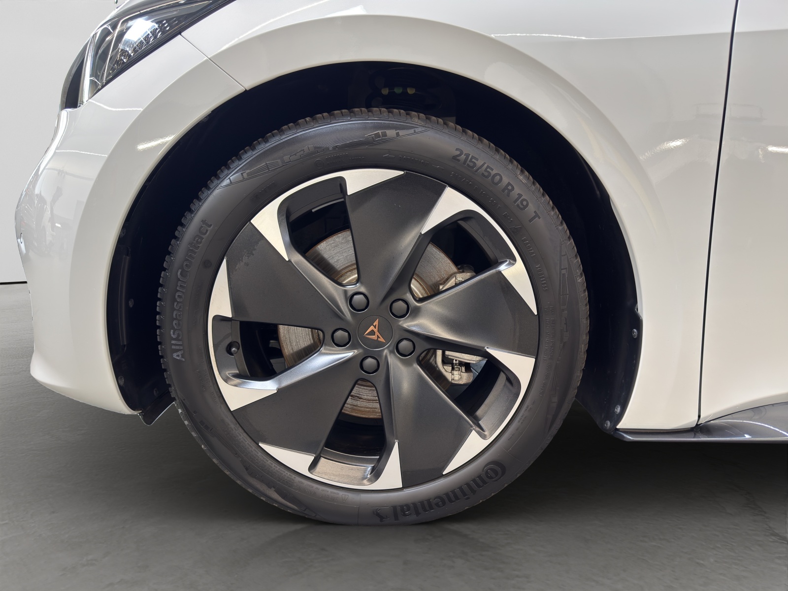 Born e-Boost 170kW (77kWh) HuD Tech-Paket M Navi ACC