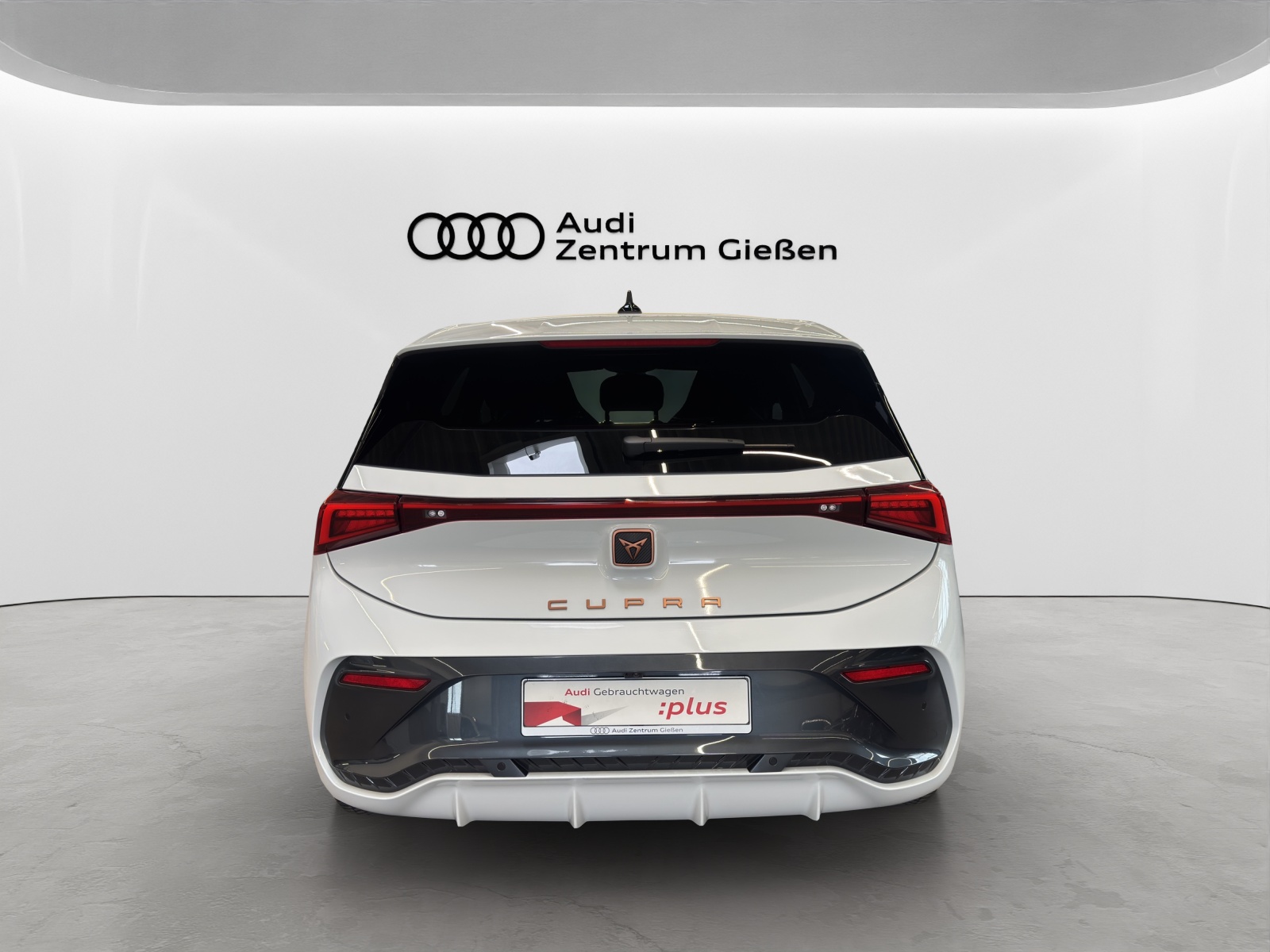 Born e-Boost 170kW (77kWh) HuD Tech-Paket M ACC Navi