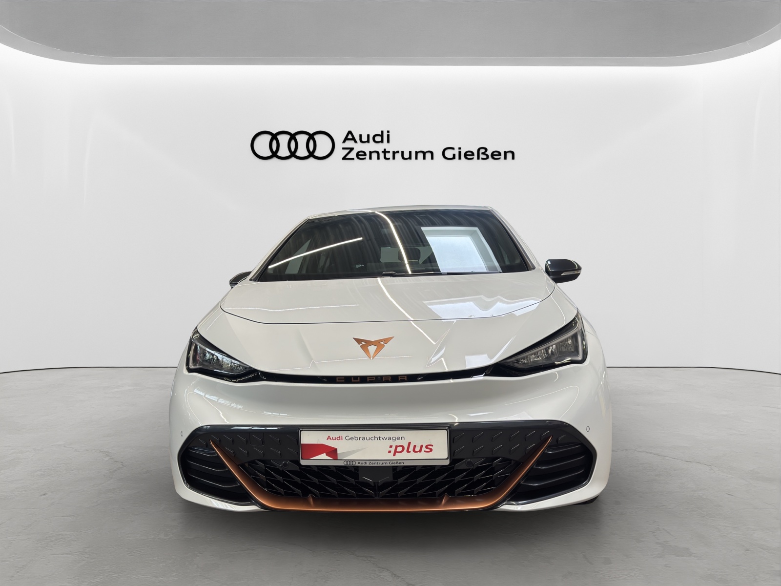 Born e-Boost 170kW (77kWh) HuD Tech-Paket M ACC Navi