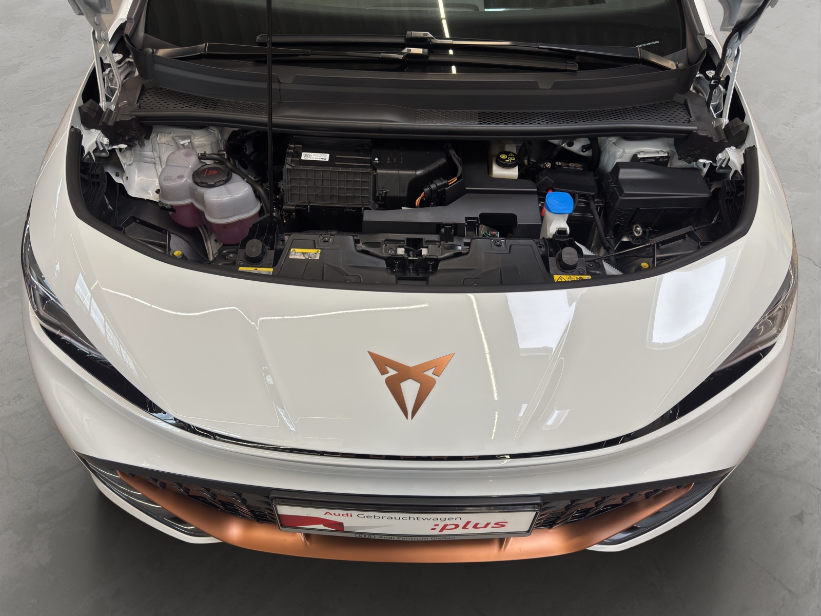 Born e-Boost 170kW (77kWh) HuD Tech-Paket M ACC Navi