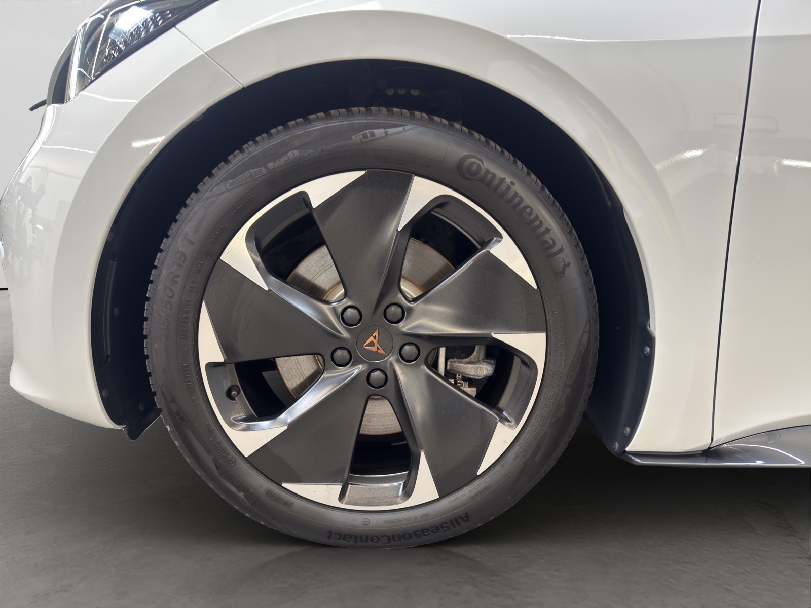 Born e-Boost 170kW (77kWh) HuD Tech-Paket M ACC Navi