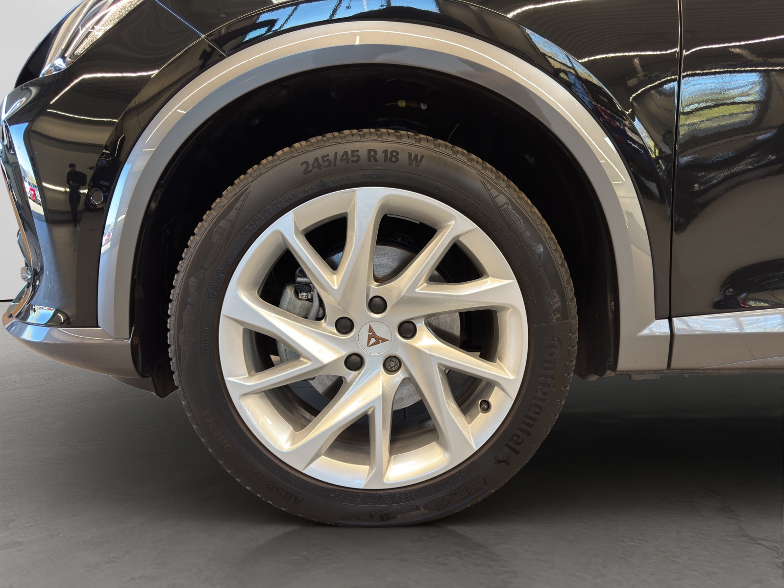 Formentor 1.5 TSI DSG Beats Navi LED 360°Kamera