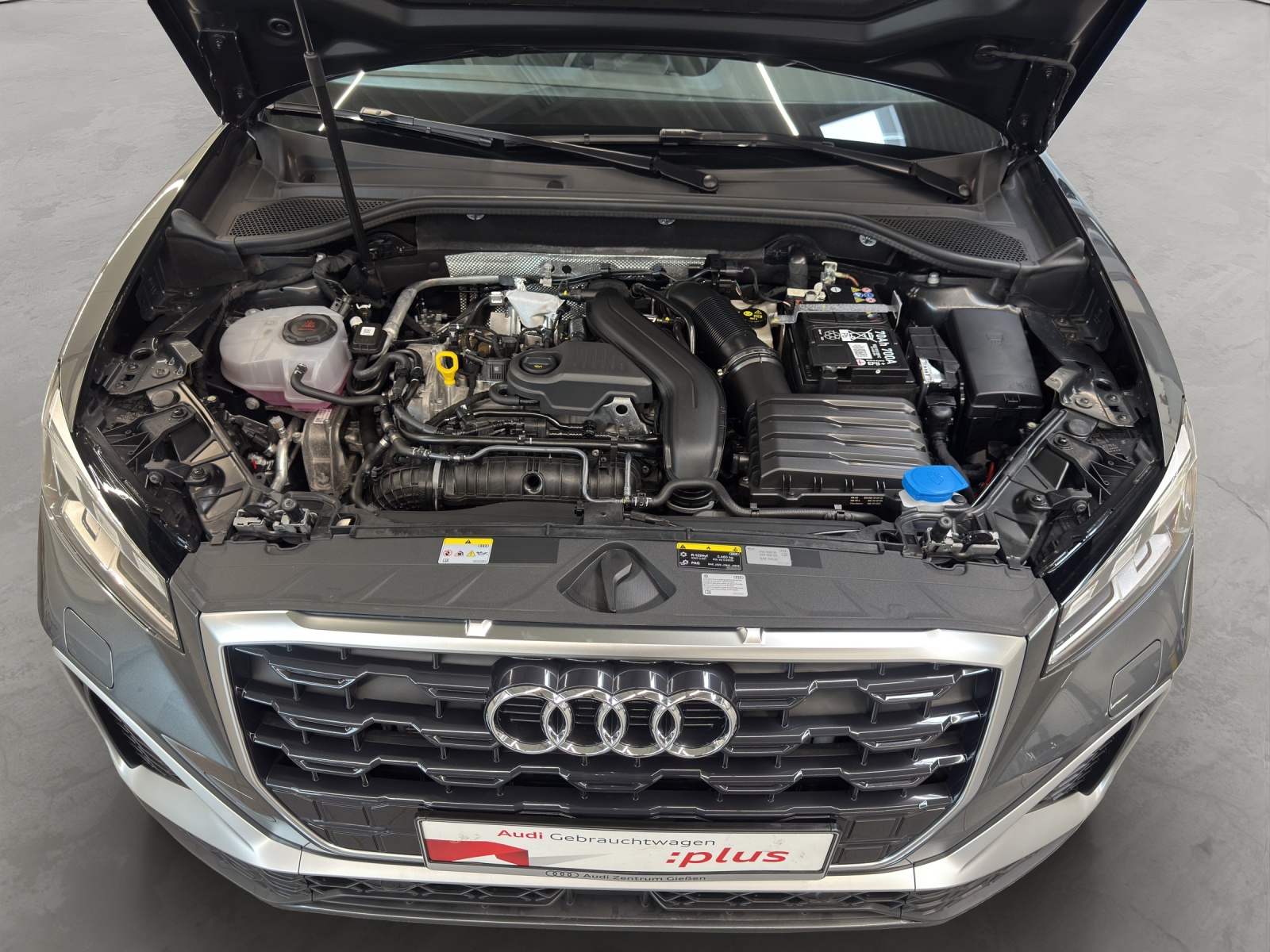Q2 35 TFSI S line Matrix-LED Rückfahrkamera