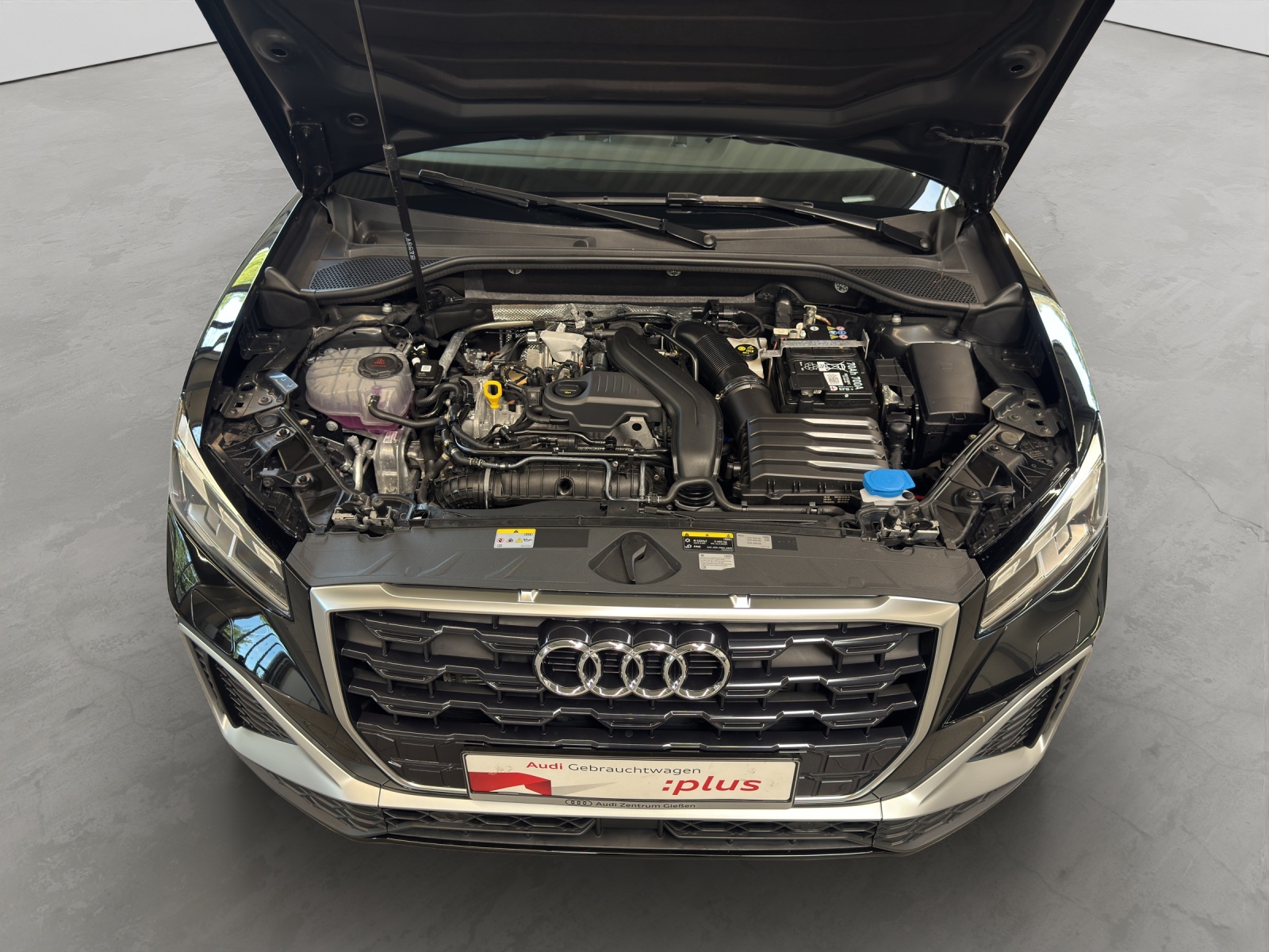 Q2 35 TFSI S-tronic S line Matrix-LED ACC Kamera