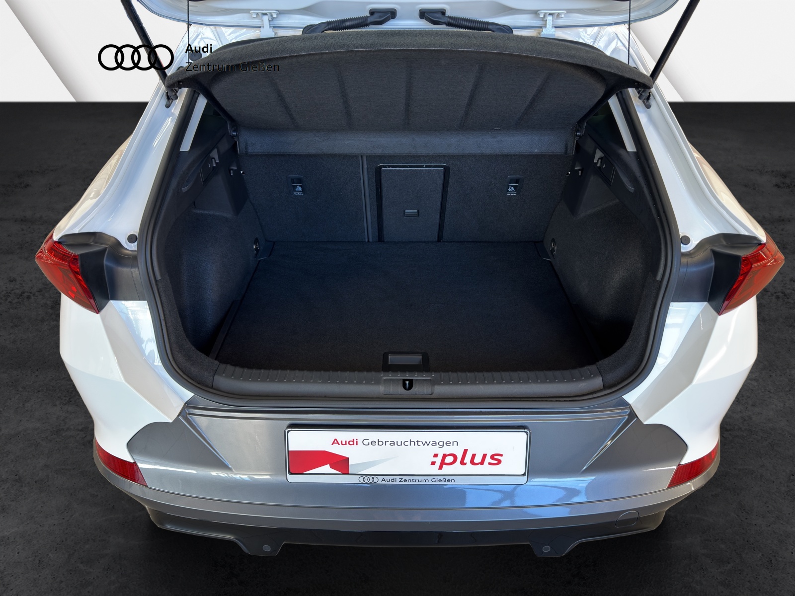 Formentor 1.5 TSI Basis Winterpaket AppConnect LED