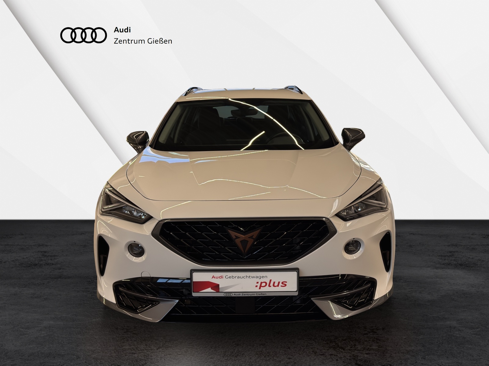 Formentor 1.5 TSI Basis Winterpaket AppConnect LED