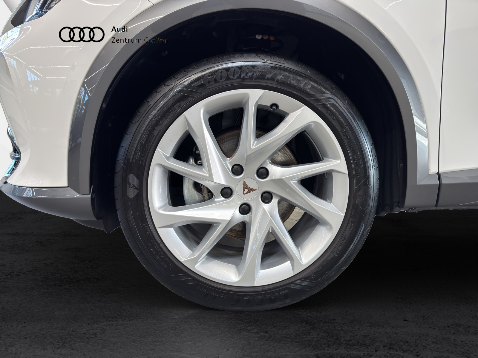 Formentor 1.5 TSI Basis Winterpaket AppConnect LED