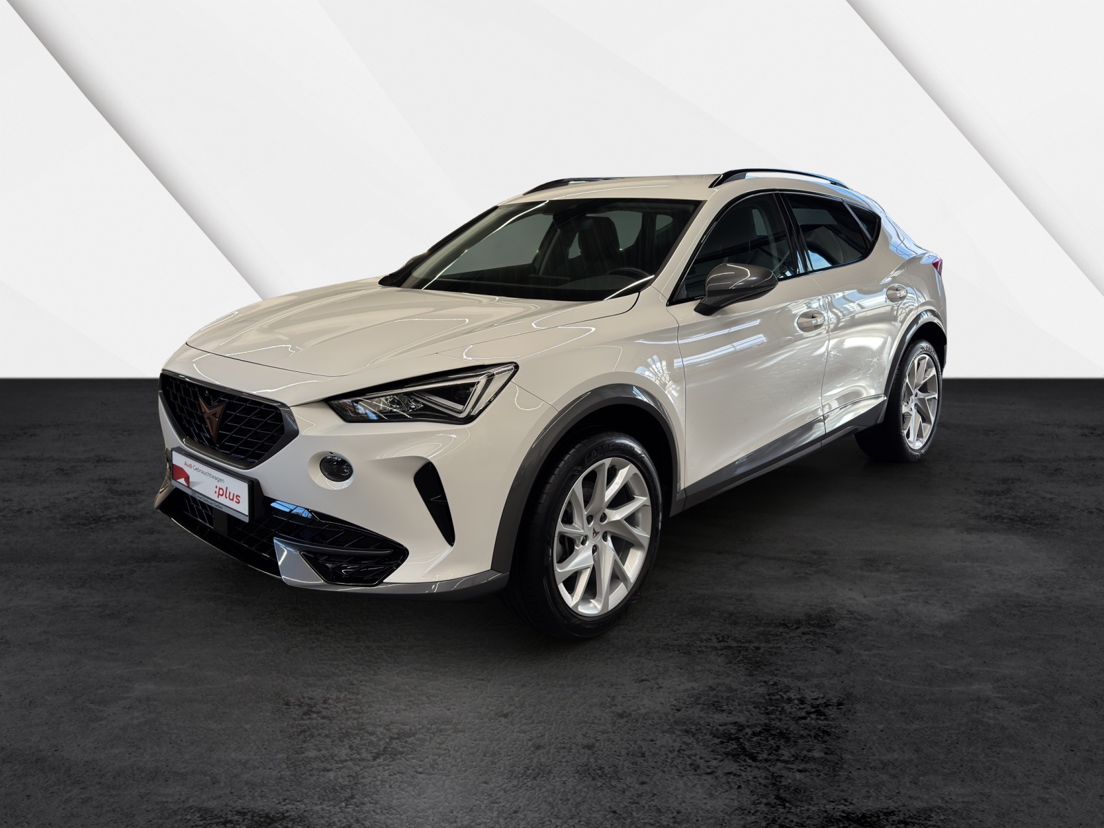 Formentor 1.5 TSI Basis Winterpaket AppConnect LED