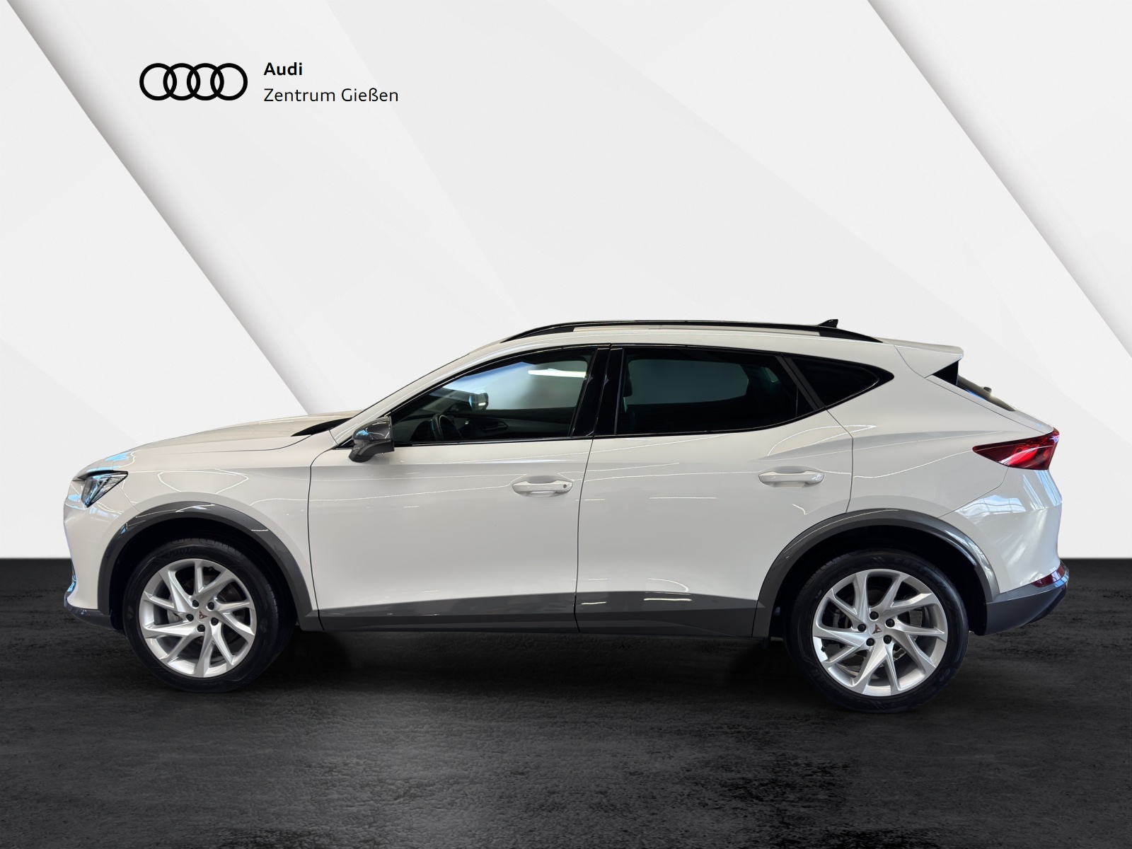 Formentor 1.5 TSI Basis Winterpaket AppConnect LED