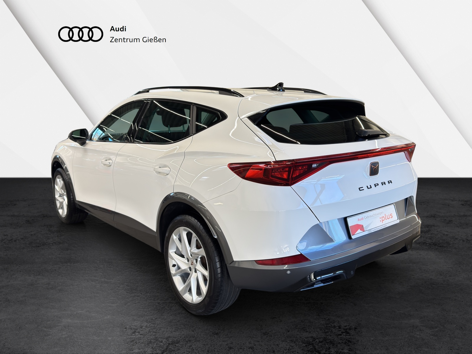 Formentor 1.5 TSI Basis Winterpaket AppConnect LED