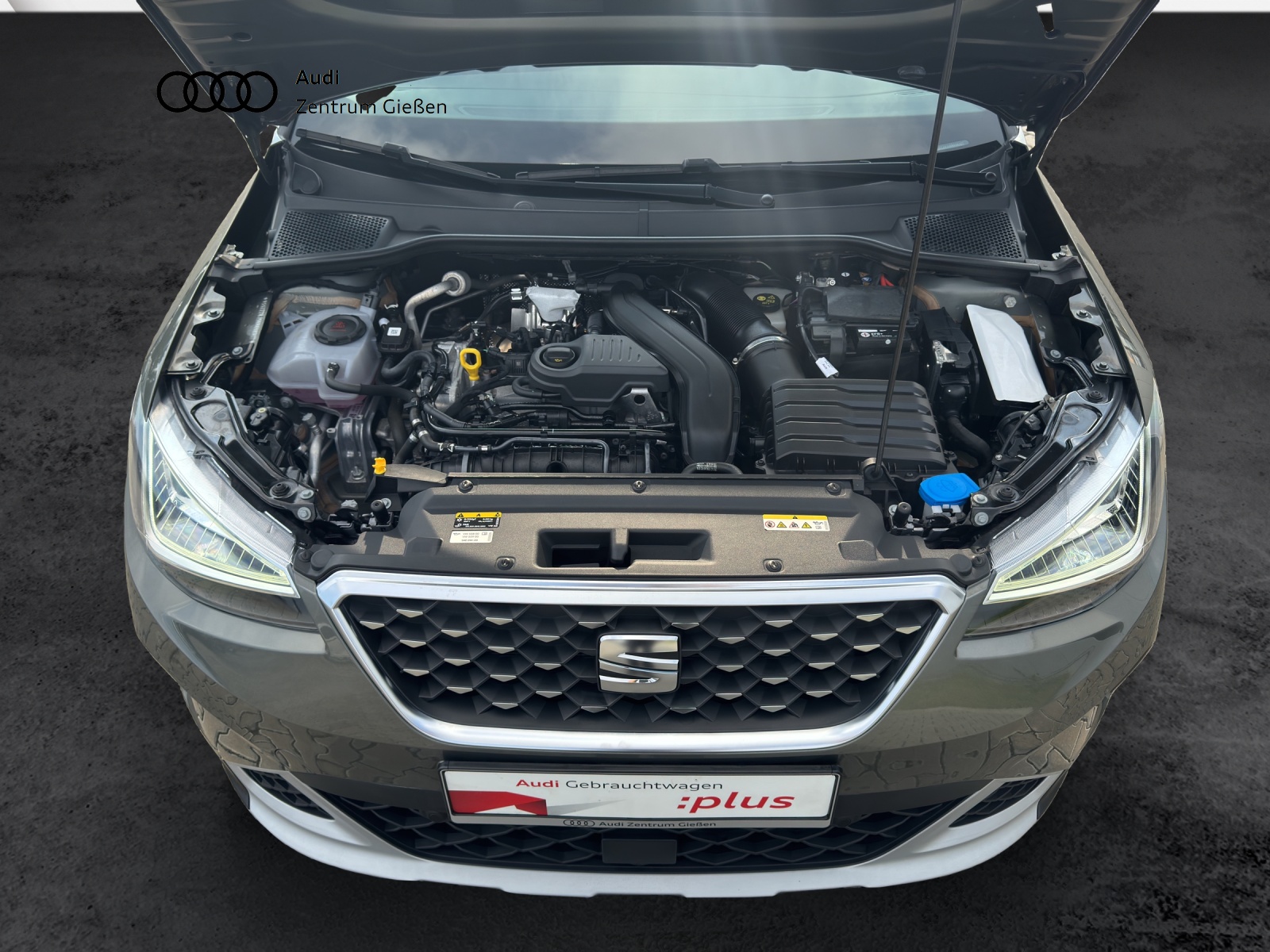 Arona 1.5 TSI DSG Xperience ACC LED Kamera Navi