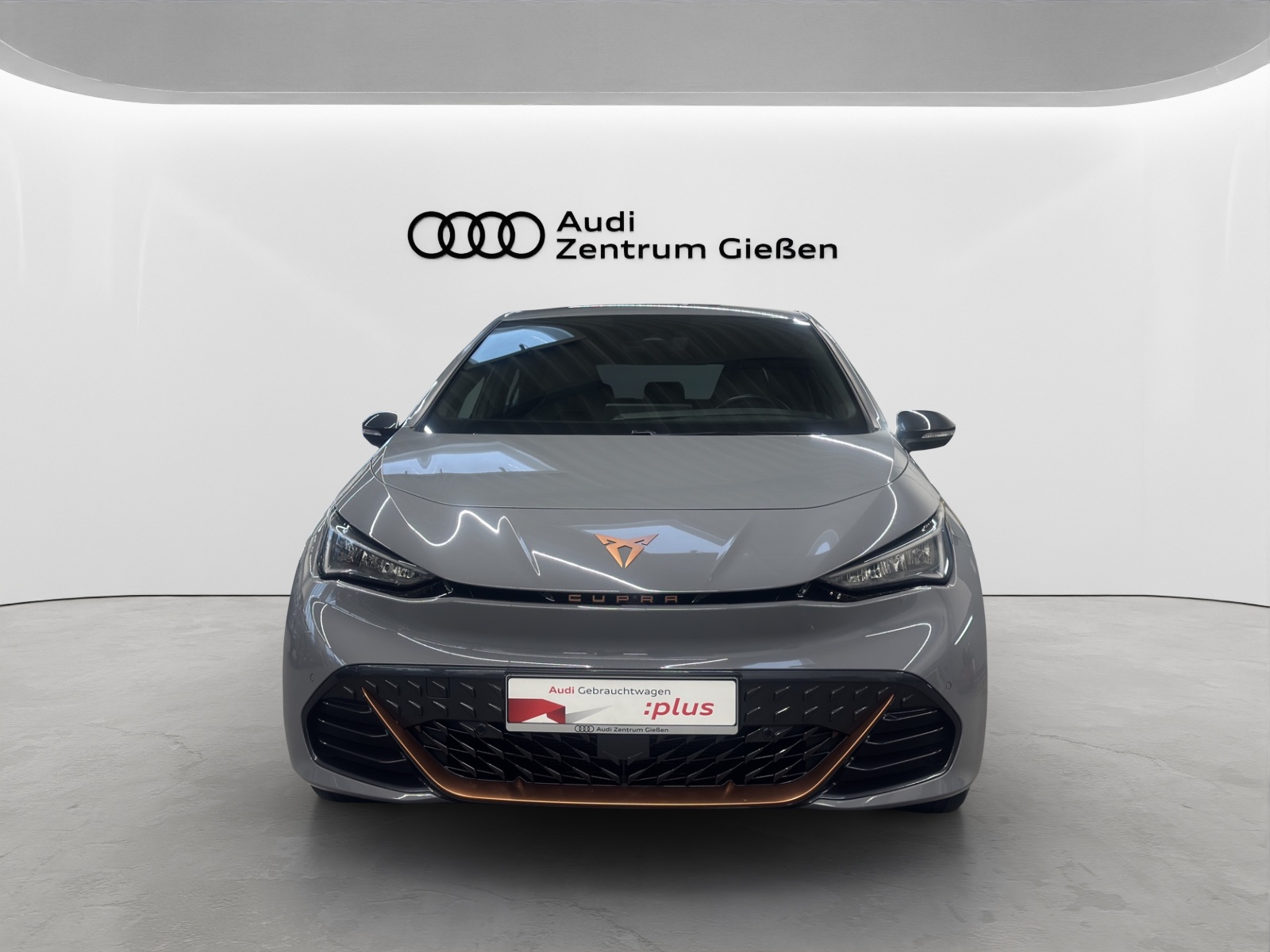 Born e-Boost electric 170 kW ACC Navi 360°Kamera