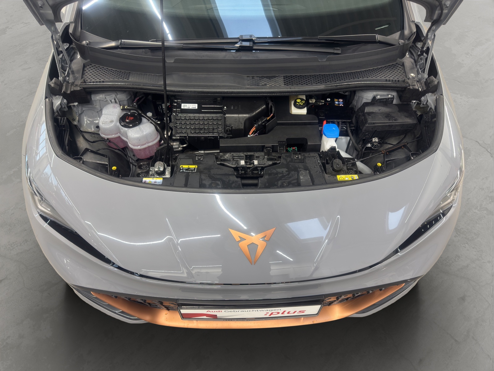 Born e-Boost electric 170 kW ACC Navi 360°Kamera