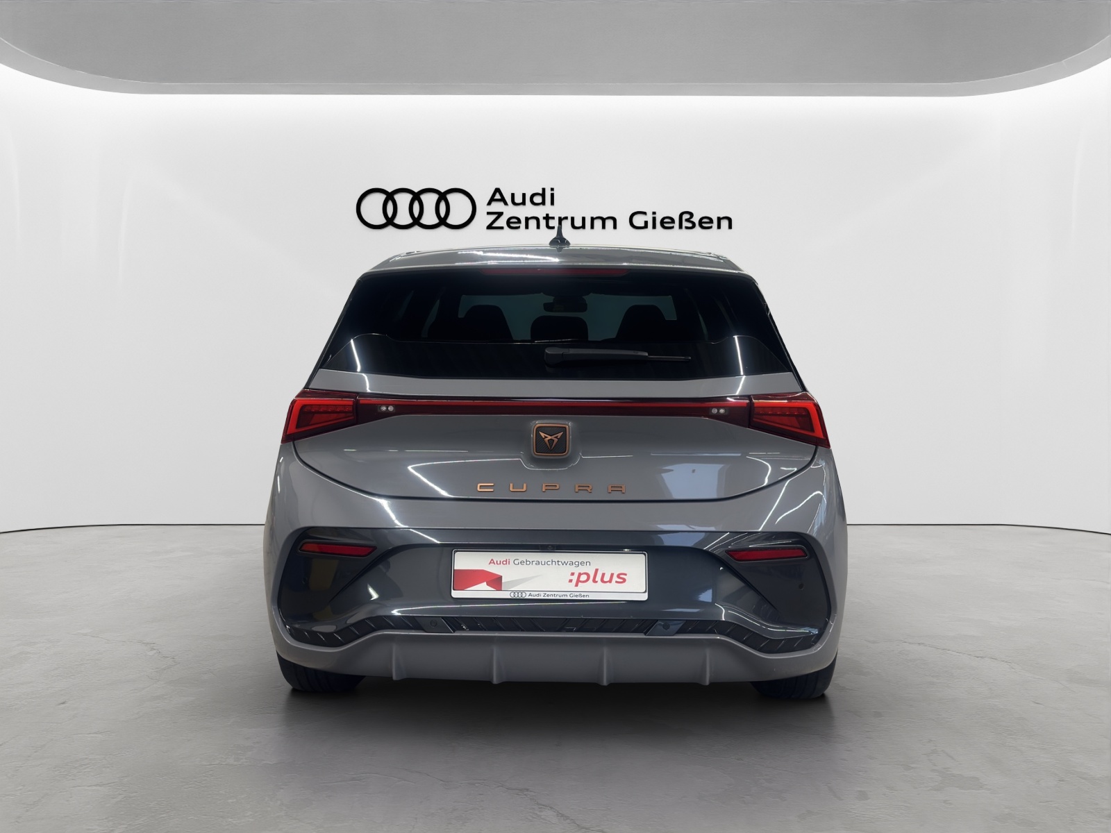 Born e-Boost electric 170 kW ACC Navi 360°Kamera