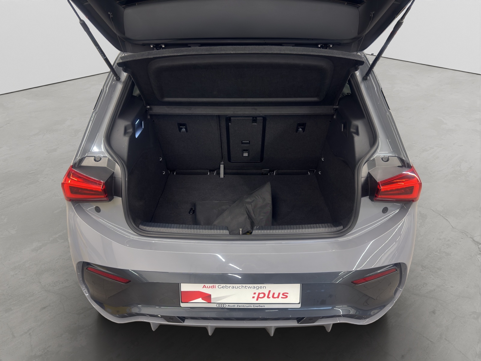 Born e-Boost electric 170 kW ACC Navi 360°Kamera