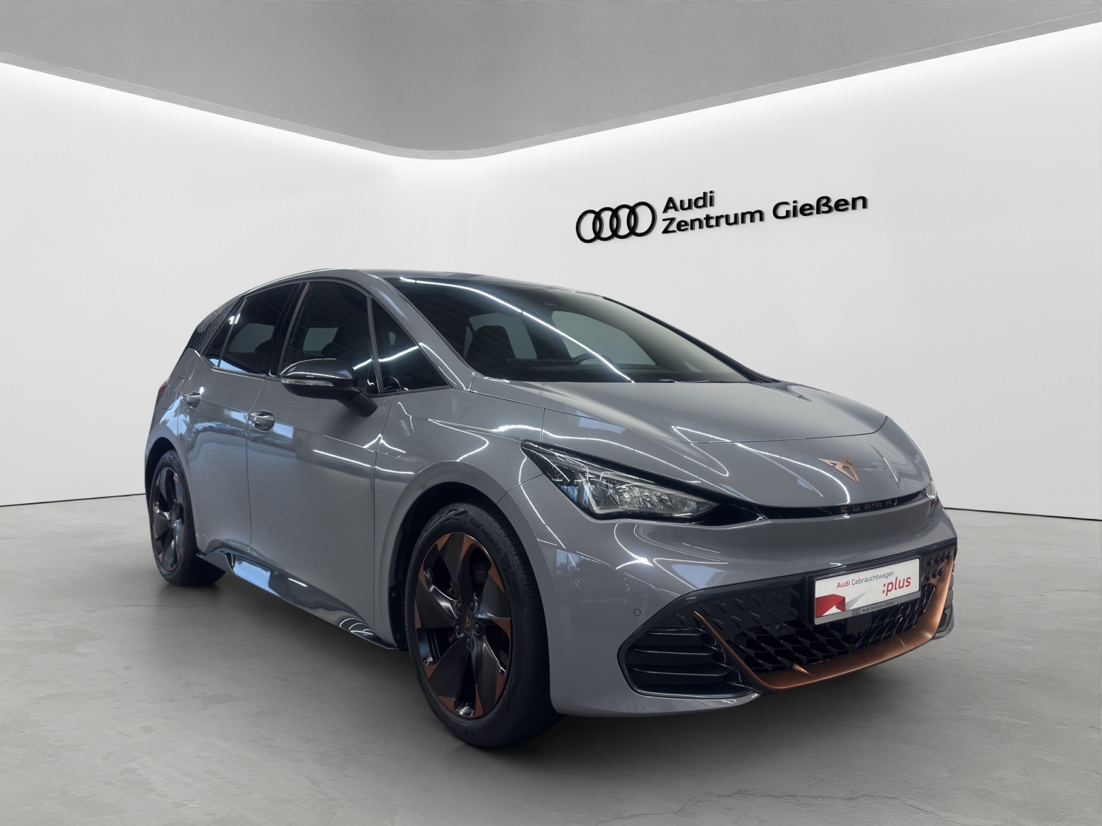 Born e-Boost electric 170 kW ACC Navi 360°Kamera