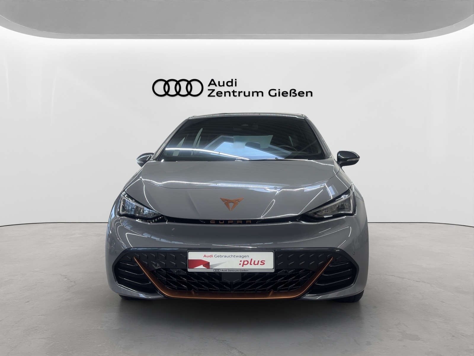 Born e-Boost electric 170 kW ACC Kamera Navi LED