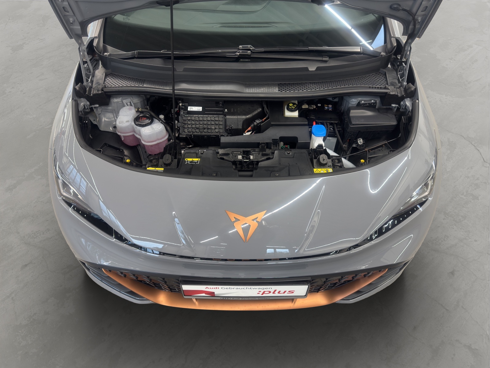 Born e-Boost electric 170 kW ACC Kamera Navi LED