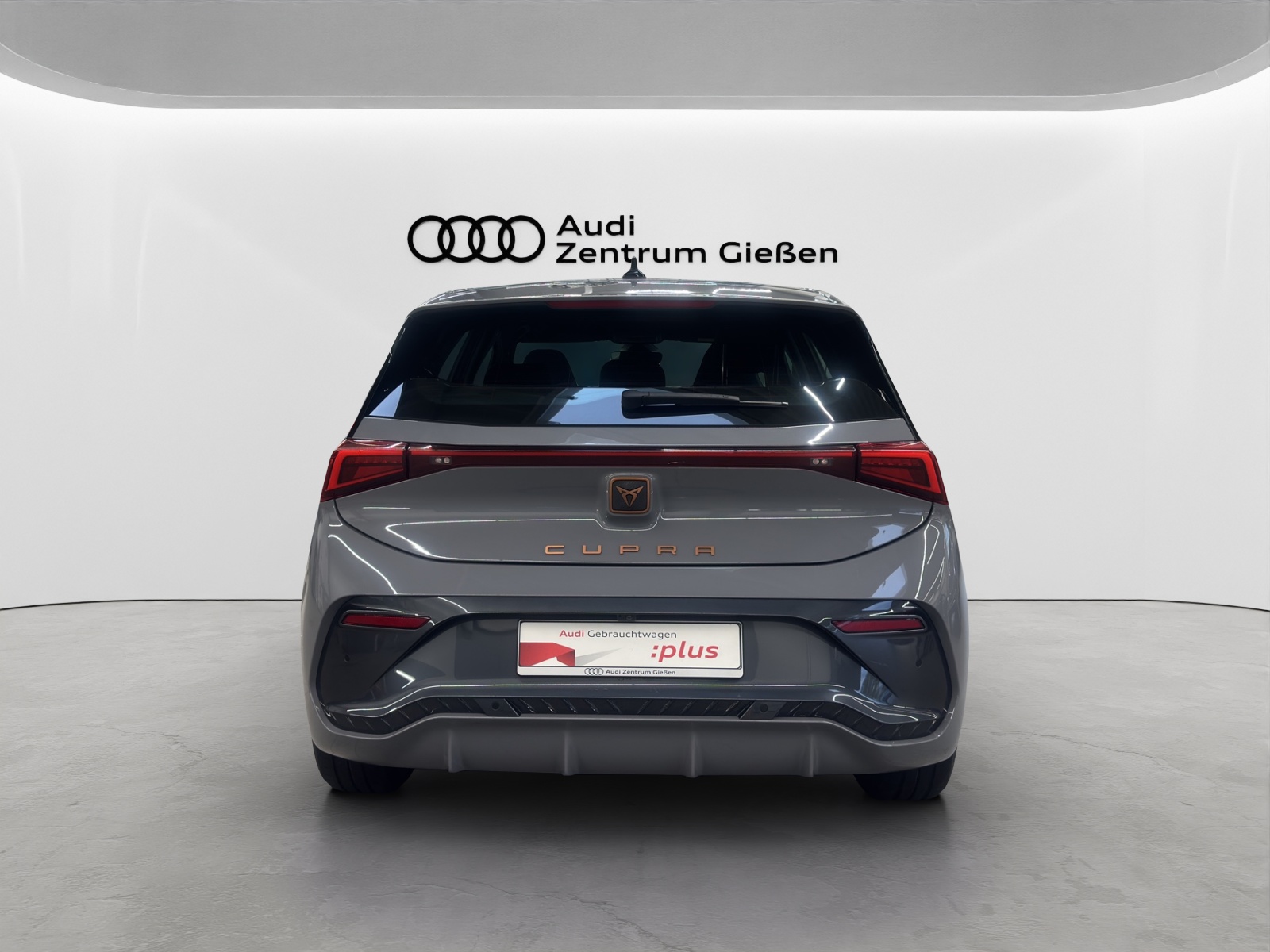 Born e-Boost electric 170 kW ACC Kamera Navi LED