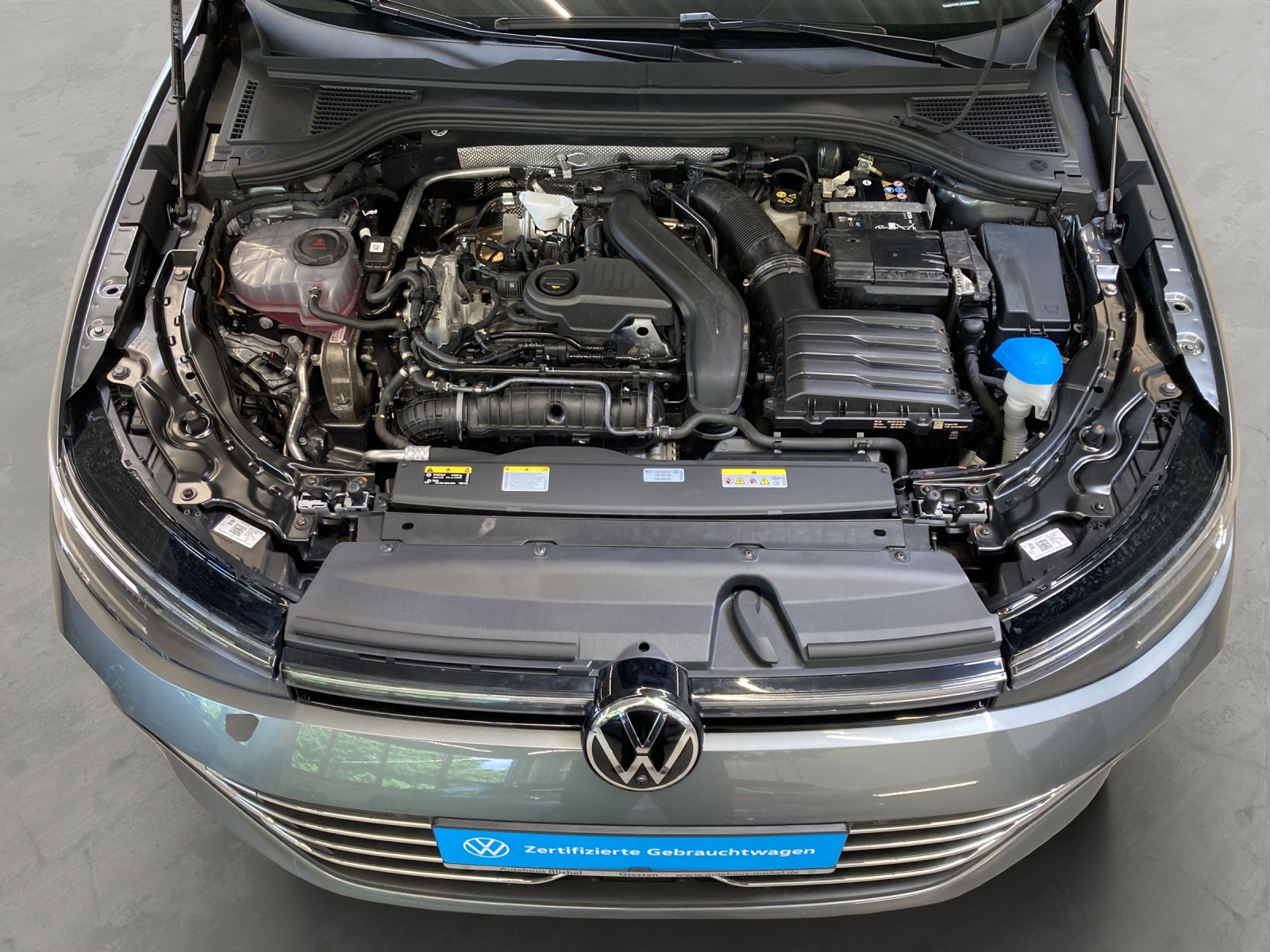 Passat Variant eTSI DSG Business HeadUp IQ-Light Panodach Ergositz