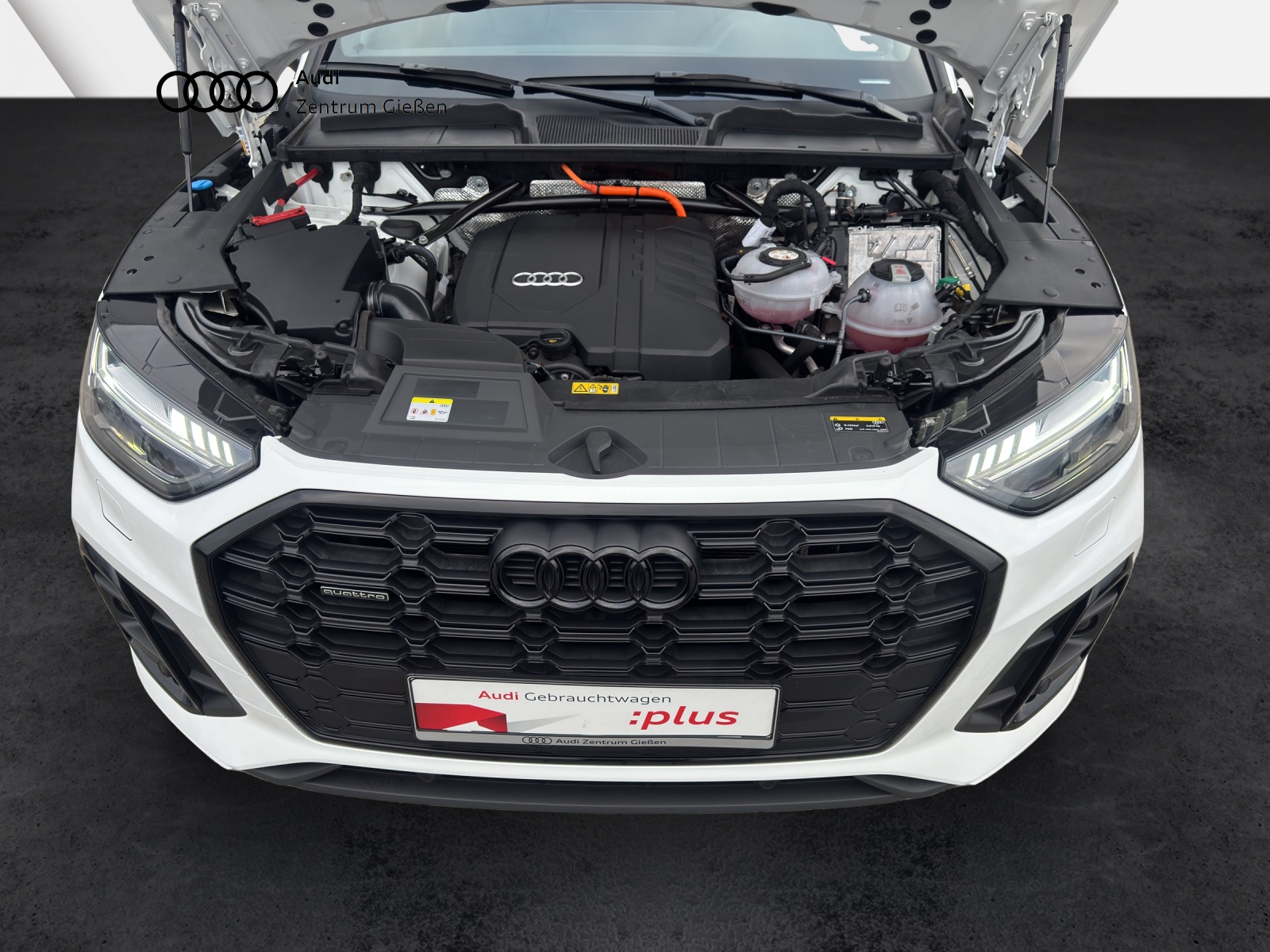 Q5 50 TFSI e quattro S line Black B&O MATRIX-LED