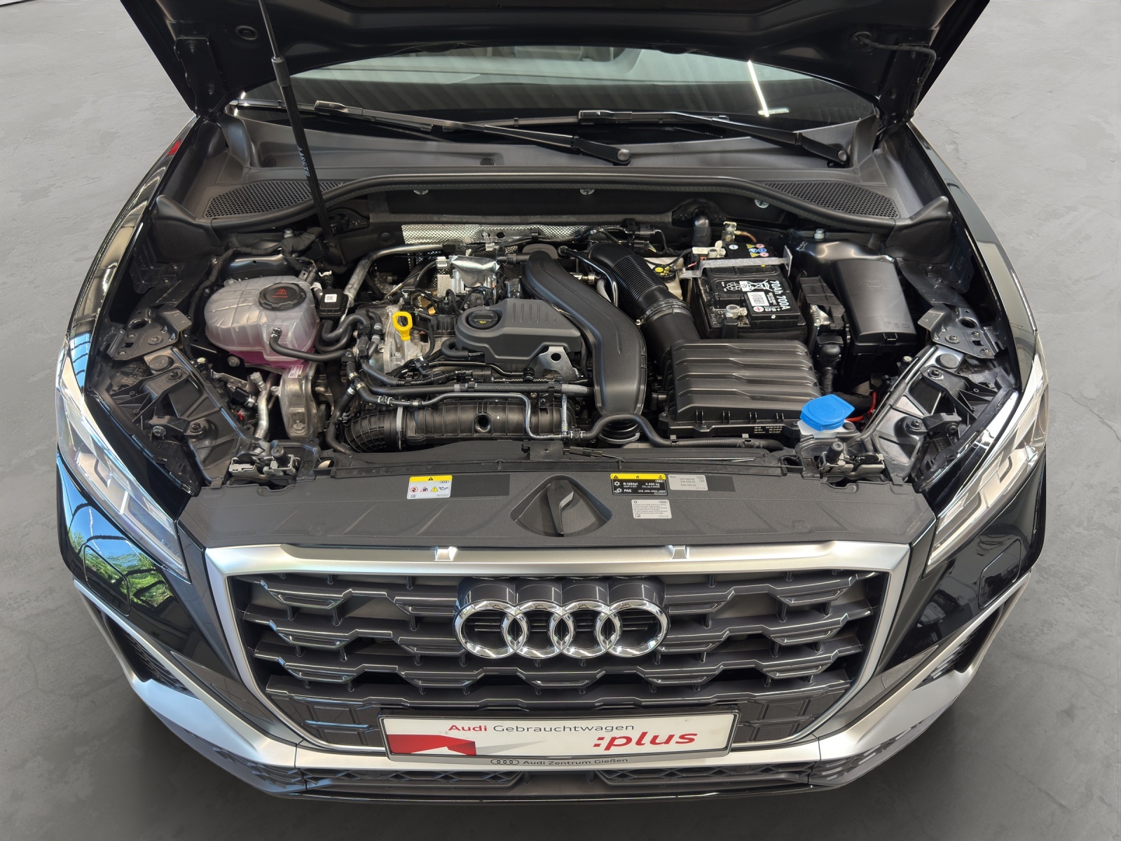 Q2 35 TFSI S-tronic S line Matrix-LED Kamera