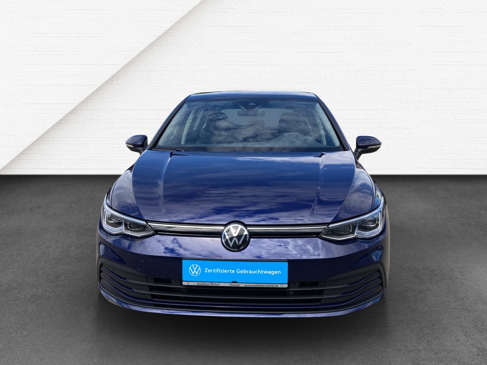 Golf VIII Life IQ-Light ACC Panodach AHK