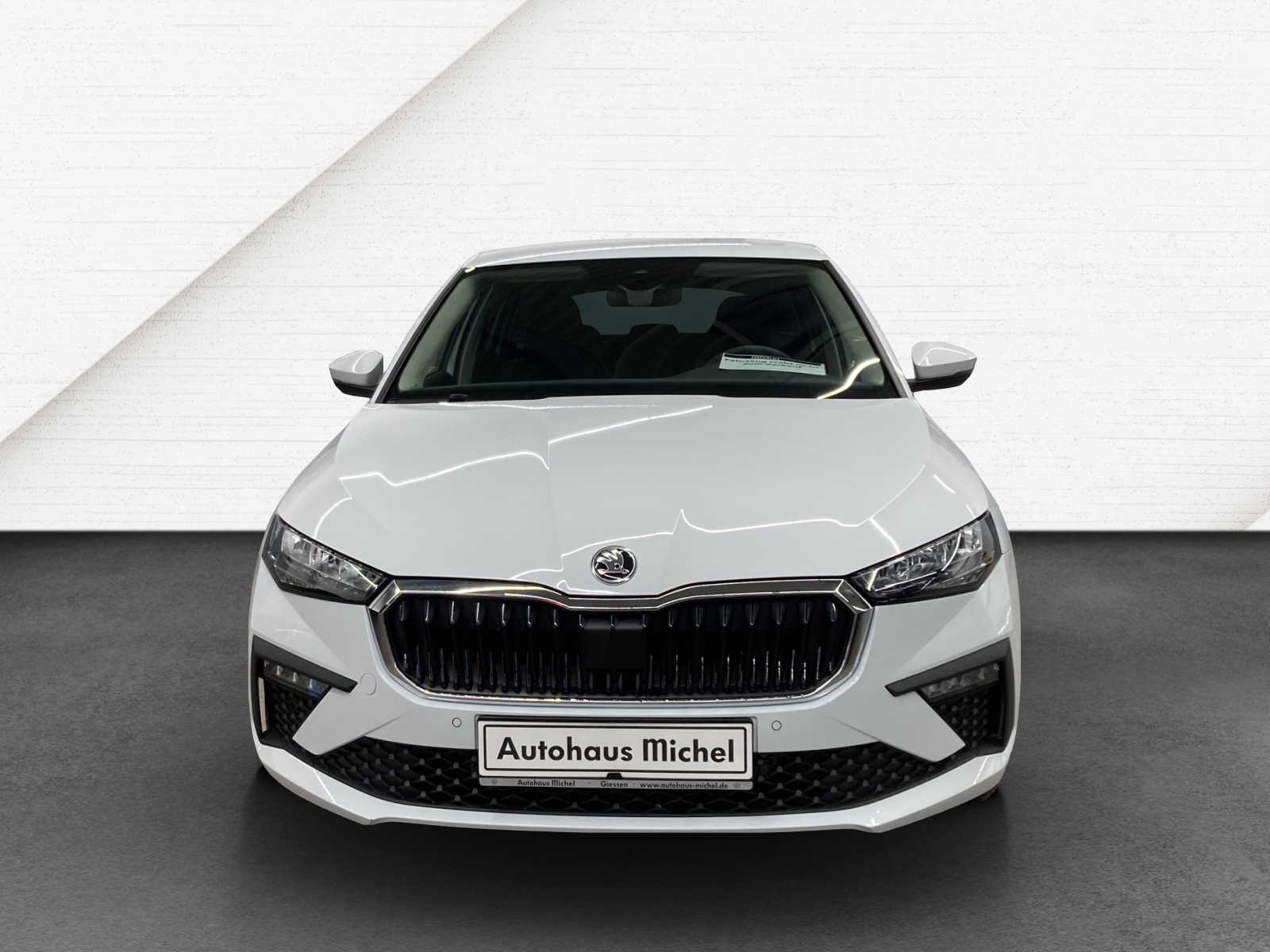 Scala TSI DSG Selection LED Kamera SmartLink