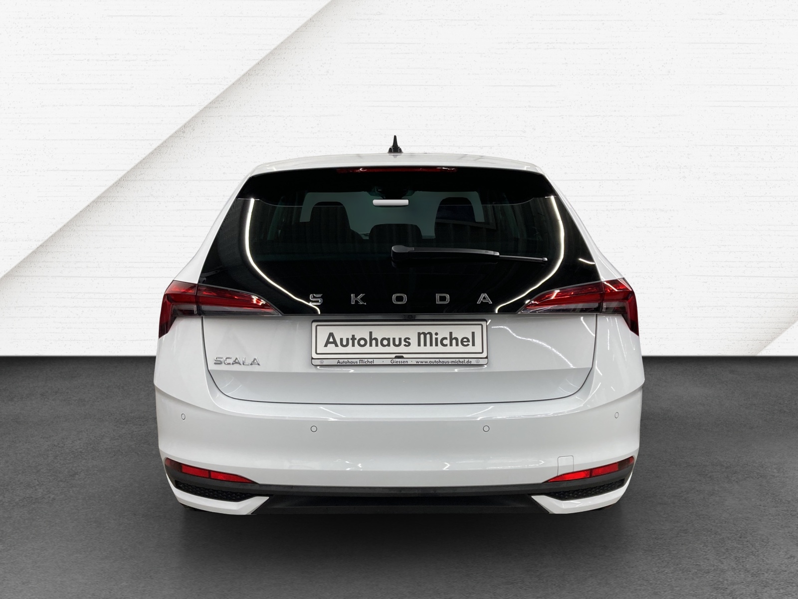 Scala TSI DSG Selection LED Kamera SmartLink