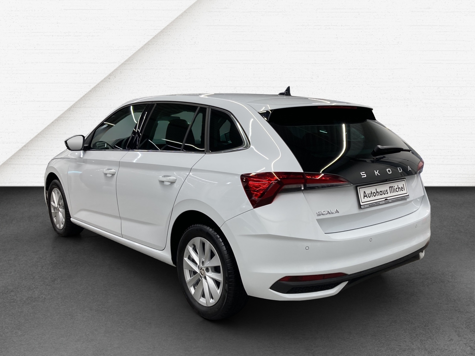 Scala TSI DSG Selection LED Kamera SmartLink